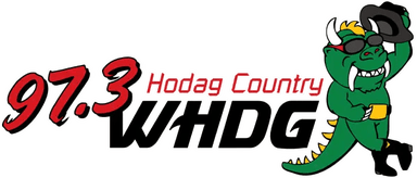 Logo de WHDG Hodag Country 97.3 FM