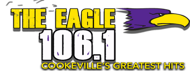 Logo de WPTN 106.1 The Eagle (US Only)