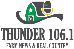 Logo de KQLX Thunder 106.1 FM