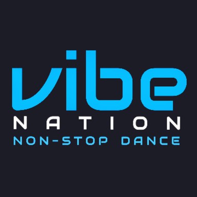 Logo de Vibe Nation