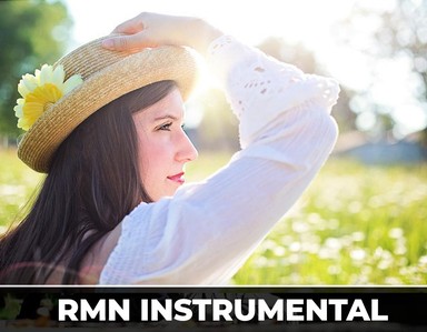 Logo de RMN Instrumental hits