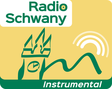 Logo de Schwany Instrumental