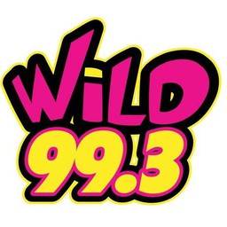 Logo de KWLZ Wild 99.3 FM