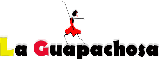 Logo de La Guapachosa 105.1 FM
