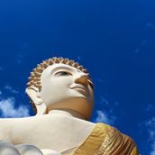 Logo de WatBuddhawas