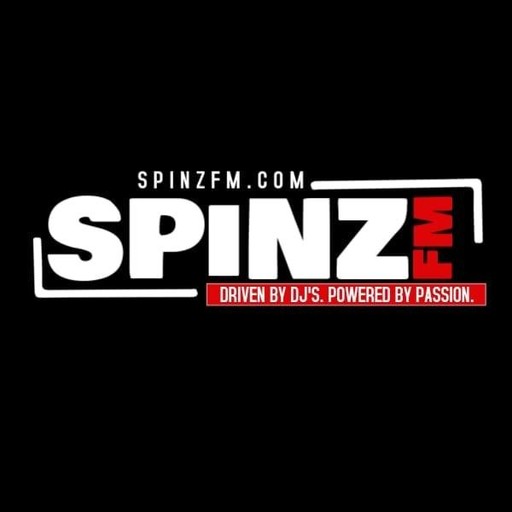 Logo de SPiNZ FM