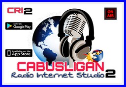 Logo de CRI Studio 2