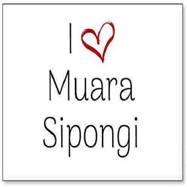 Logo de Muarasipongi