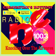 Logo de Radio NE FM 100.3