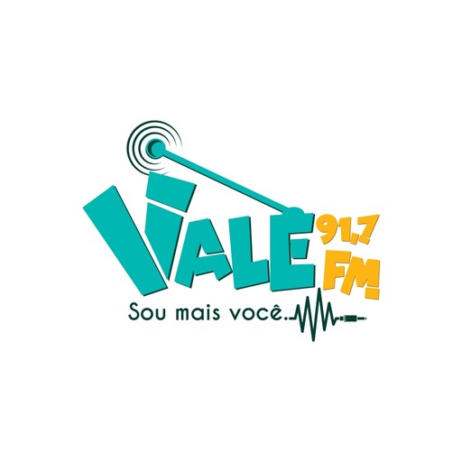 Logo de Sou Vale FM 91