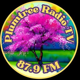 Logo de Plumtree Radio