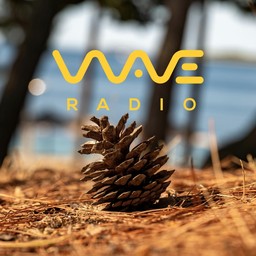 Logo de Wave Radio 89.8 FM