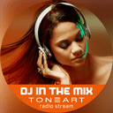 Logo de DJ In The Mix