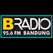 Logo de B-Radio 95.6 FM