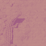 Logo de Cool Deep
