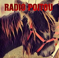 Logo de Radio Poitou