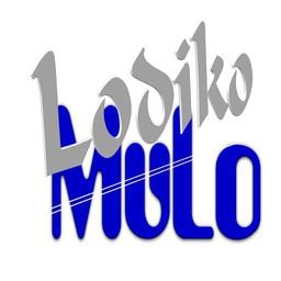 Logo de Lodiko SODONYO