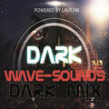 Logo de Darkwave Sounds