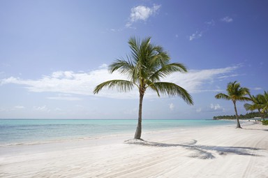 Logo de Punta Cana FM