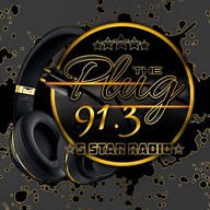 Logo de 91.3 The Plug Radio