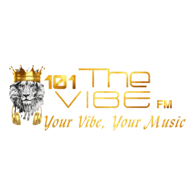 Logo de 101TheVibeFM Radio