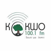 Logo de Kokwo Radio International