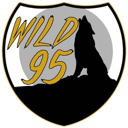 Logo de Wild 95