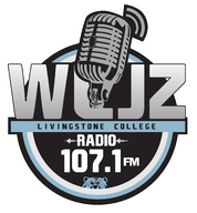 Logo de WLJZ 107.1 FM
