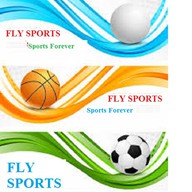 Logo de Fly Spots