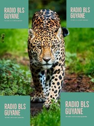 Logo de bls guyane