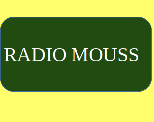 Logo de Radio Moussa