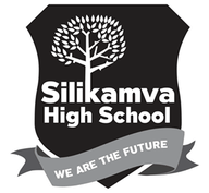 Logo de Silikamva