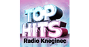 Logo de Top Hits Radio Kneginec