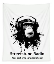 Logo de Streetstune