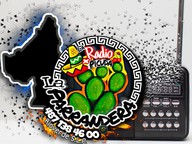 Logo de La Parrandera Oficial