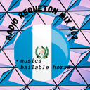 Logo de Radio Requeton Mix 502