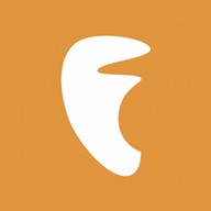 Logo de Fiesta 95 FM