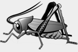 Logo de Cricket Radio Gen X