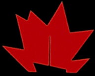 Logo de RNI Radio dot net