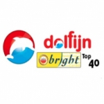 Logo de Dolfijn 97.3 FM Bright Top 40
