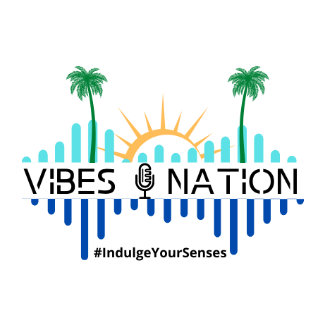 Logo de Vibes Nation Radio