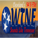 Logo de WTNE 94.9 FM
