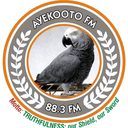 Logo de Ayekooto 88.3 fm