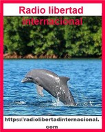 Logo de Radio Libertad Internacional