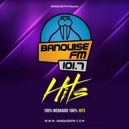 Logo de Banquise Hits