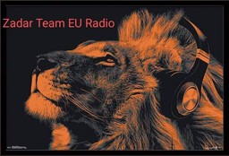 Logo de Zadar Team EU Radio