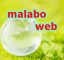 Logo de Malabo Web