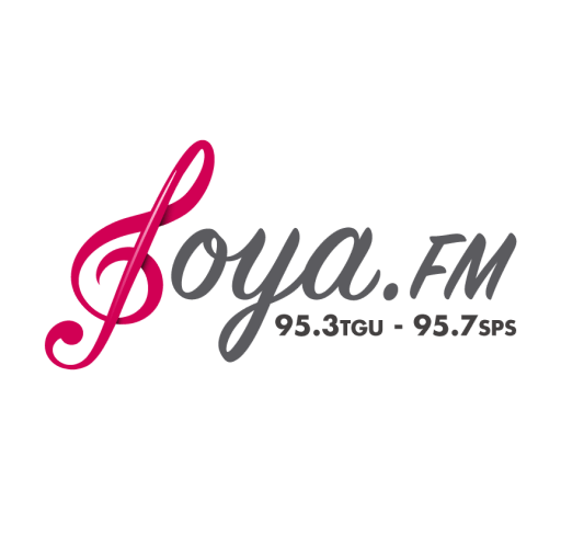 Logo de Joya FM 95.3