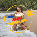 Logo de New Music France Summer Hits