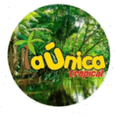Logo de La Unica Tropical